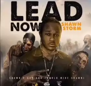 Shawn Storm - Lead Now